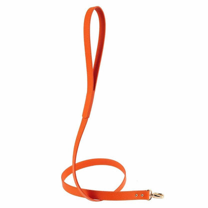 Balley Leash