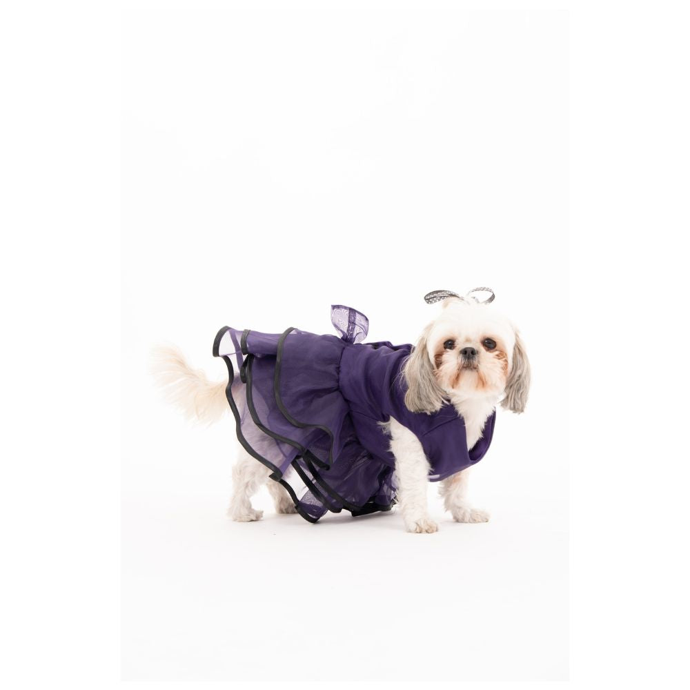 Vestido Pirata PET JASIVE