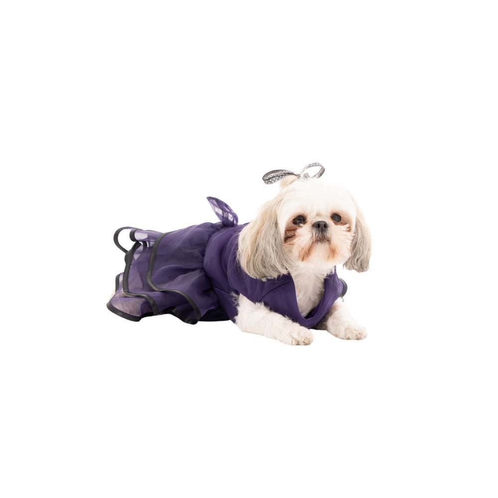 Vestido Pirata PET JASIVE