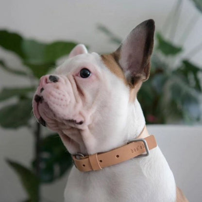 Lumi Collar Silver + Tan