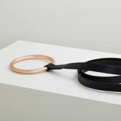 Lumi Leash Gold + Black