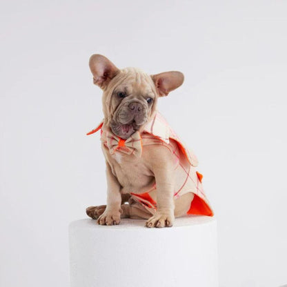 Tartan Beige Dog Coat