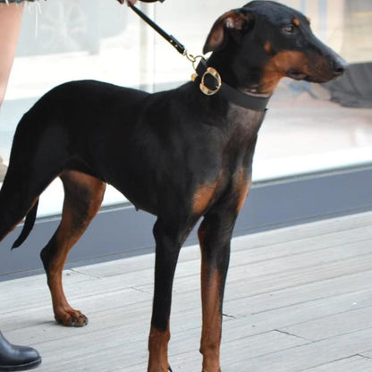 Hachiko Dog Collar Black