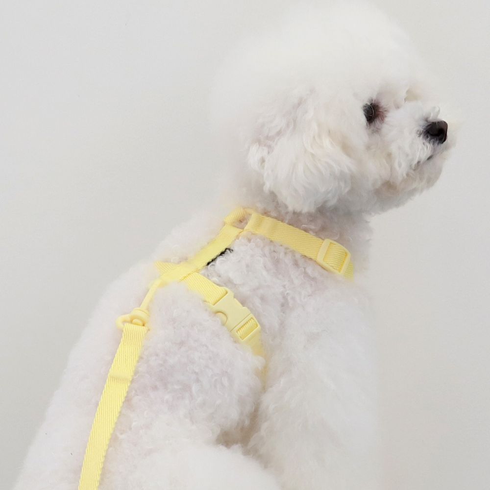 Macaron Dog Harness