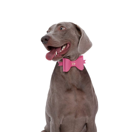 Metapink Bow Dog Collar