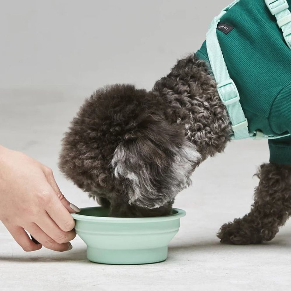 Macaron Collapsible Bowl