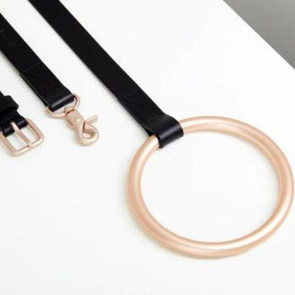 Lumi Leash Gold + Black