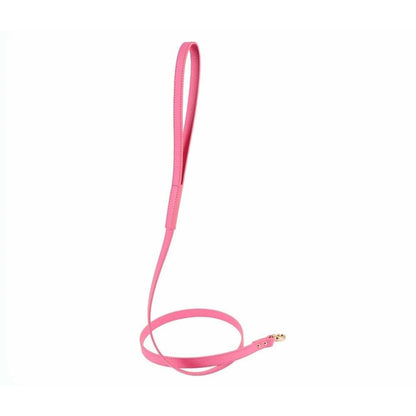 Balley Leash