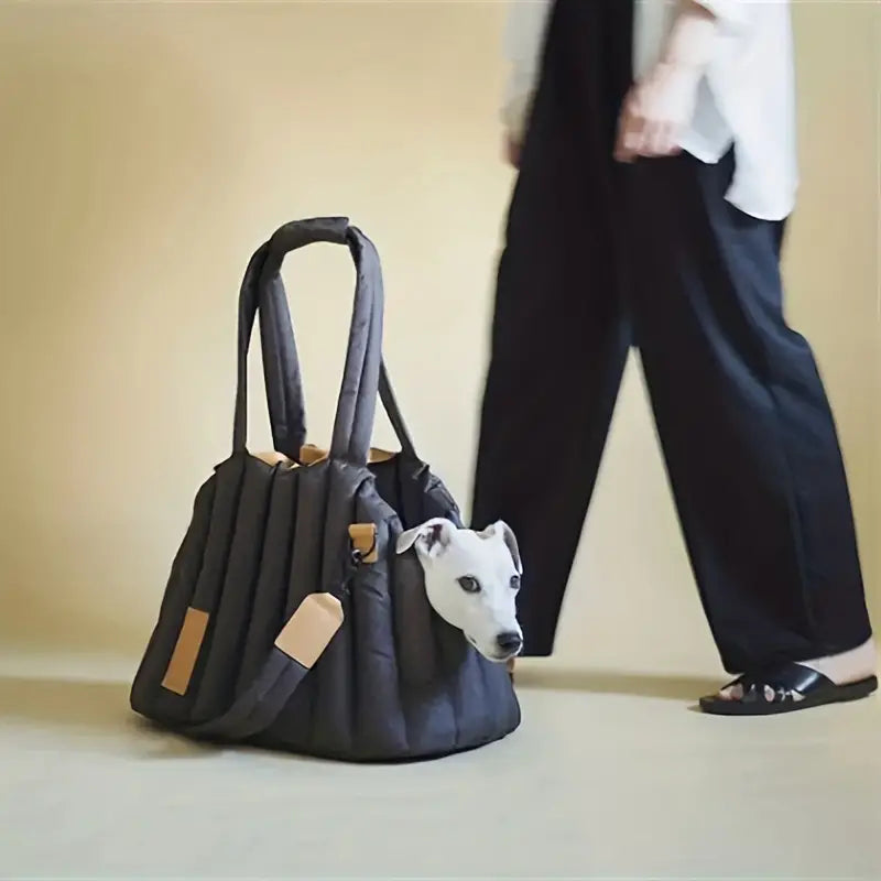 Pet carrying bag