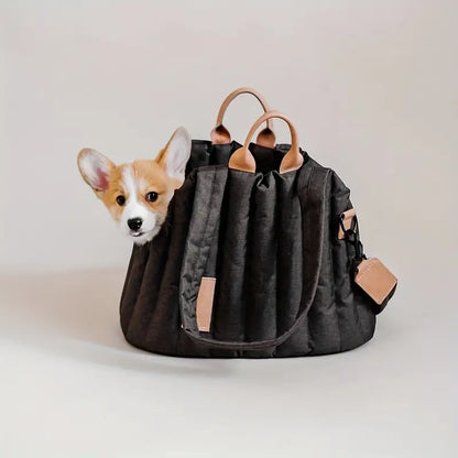 Pet carrying bag