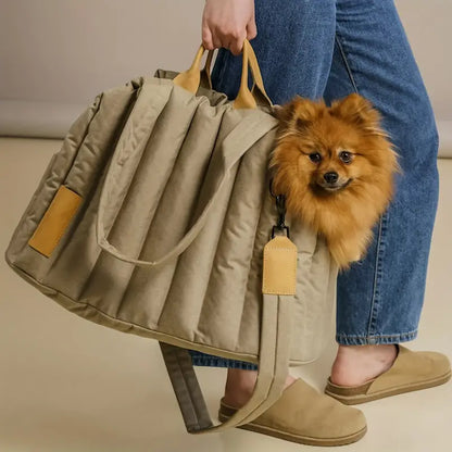 Pet carrying bag