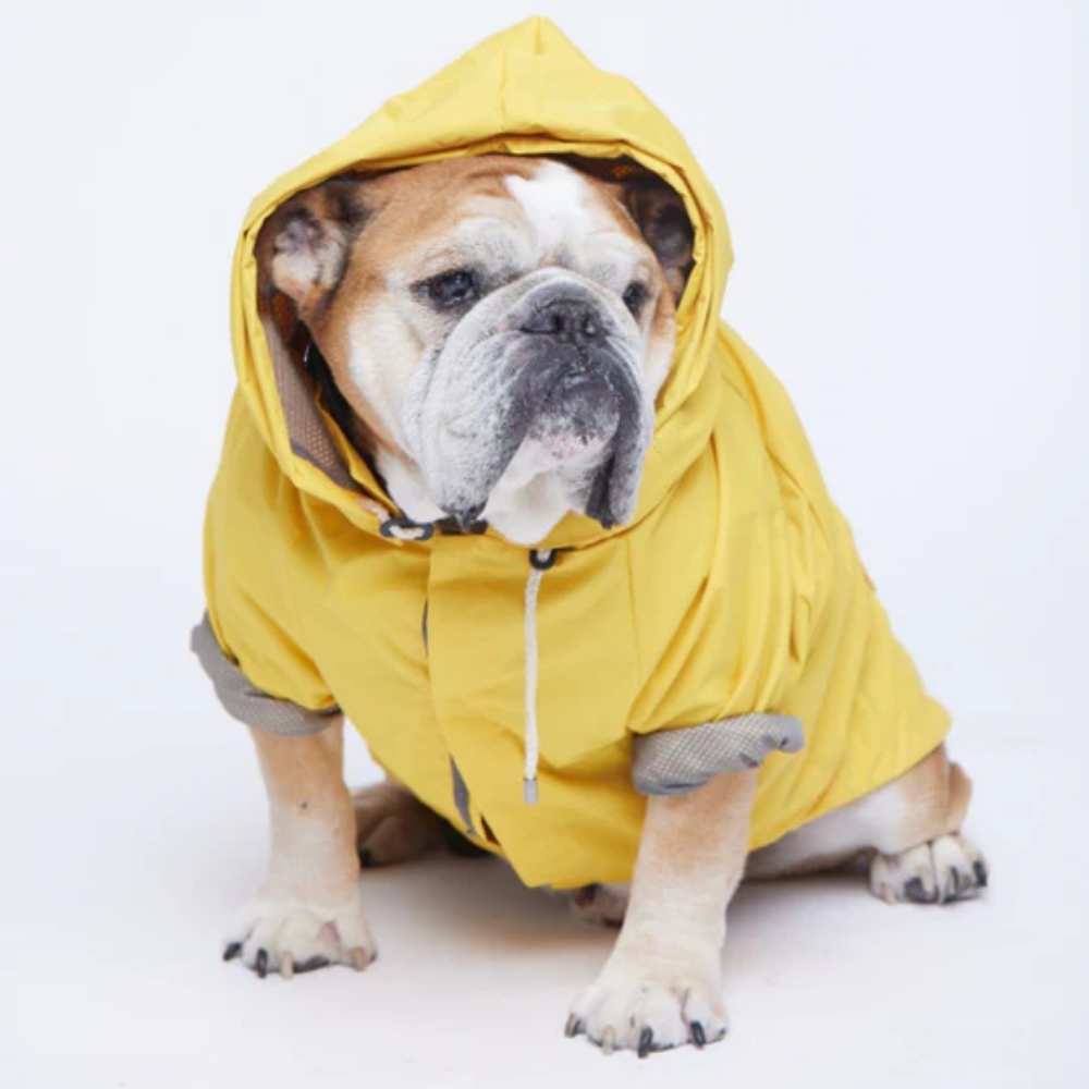 Talon Raincoat